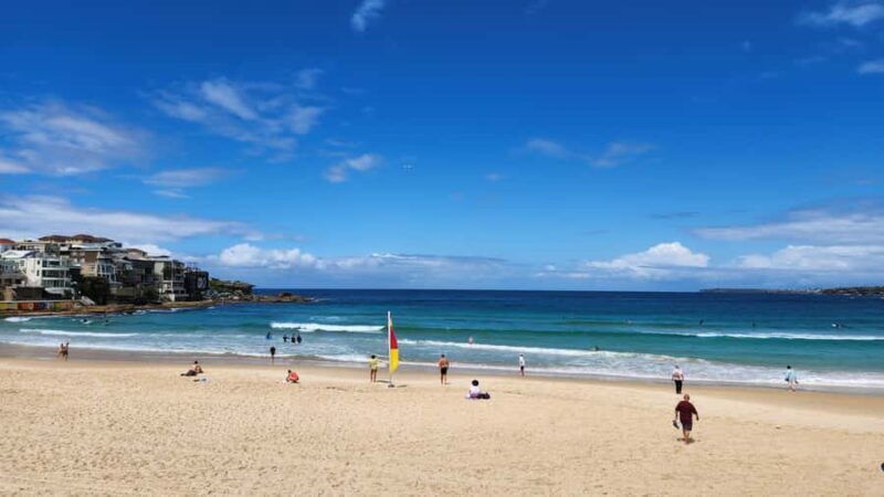 Sydney East Coast Tour - An In-Depth Look at the Sydney East Coast Tour