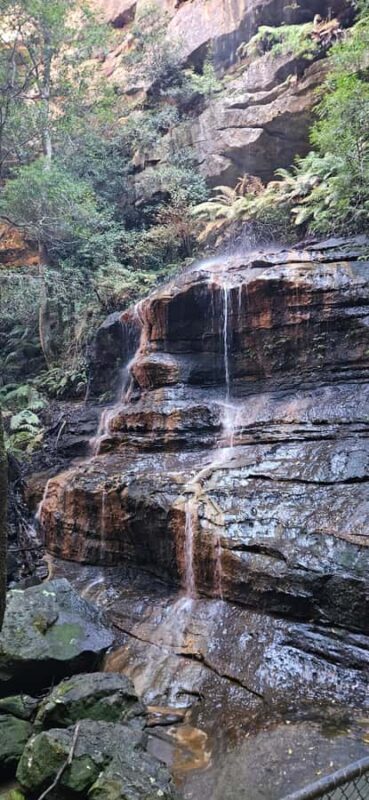 Sydney: English or German Private Blue Mountains Tour - Who Will Love This Tour?