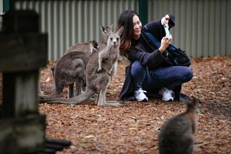 Sydney: Featherdale Wildlife Park Private Tour - FAQ