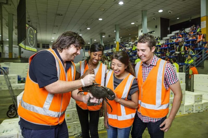 Sydney Fish Market Behind the Scenes Tour - Who Will Love This Tour?