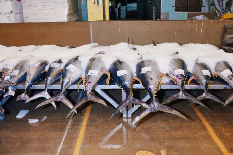 Sydney Fish Market Behind the Scenes Tour - Final Thoughts: Is It Worth It?