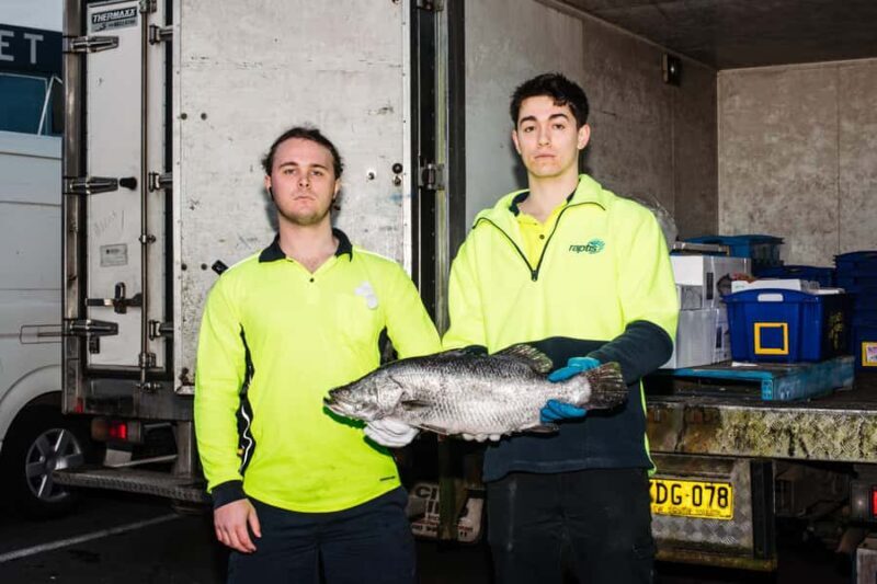 Sydney Fish Market Discovery Tour - Practical Details