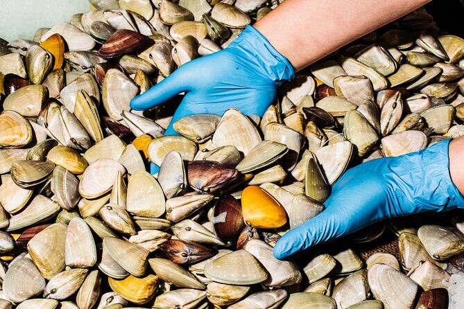 Sydney Fish Market Discovery Tour - FAQ