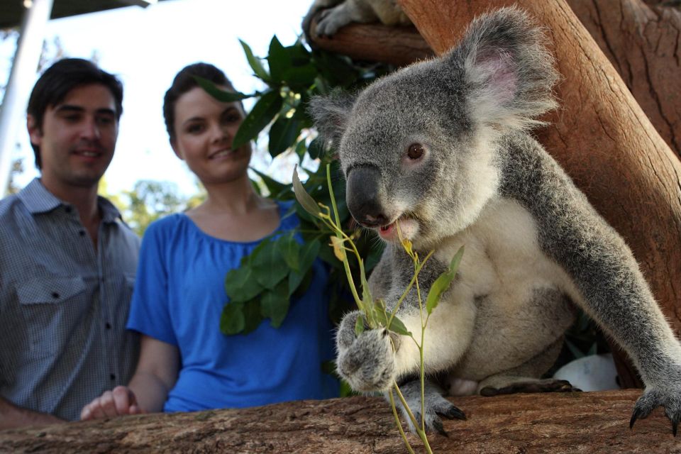 Sydney: Go City Explorer Pass - Save on 2 to 7 Attractions - Key Points