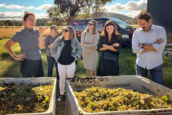 Sydney Grains and Grapes Hunter Valley Wine and Beer with Lunch - Key Points