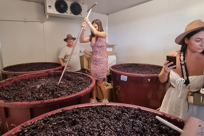 Sydney Grains and Grapes Hunter Valley Wine and Beer with Lunch - Value and Pricing