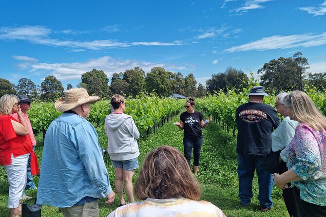 Sydney Grains and Grapes Hunter Valley Wine and Beer with Lunch - Who Should Consider This Tour?