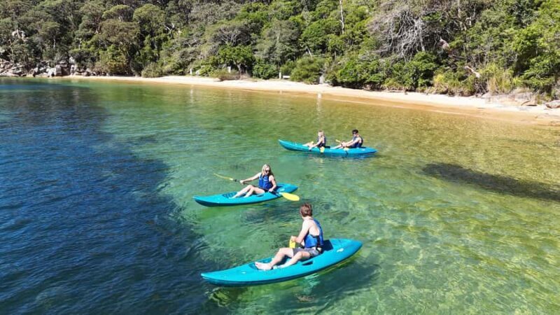 Sydney: Guided Kayak Taster Tour from Manly - Key Points