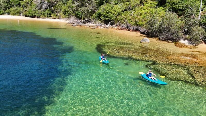 Sydney: Guided Kayak Taster Tour from Manly - A Scenic Introduction to Sydney’s Shoreline