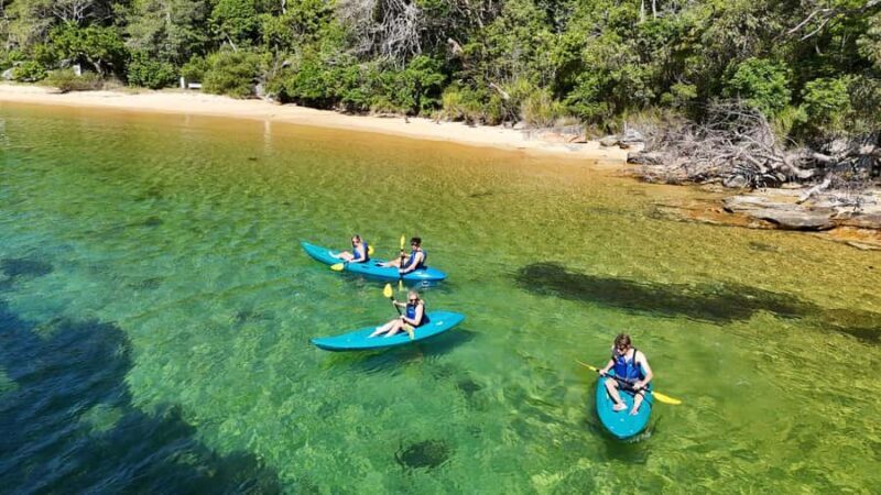 Sydney: Guided Kayak Taster Tour from Manly - Tow-Back Service and Optional Extended Paddling