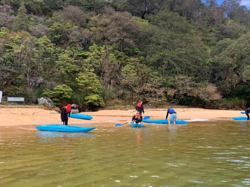 Sydney: Guided Kayak Taster Tour from Manly - Practical Details and Tips