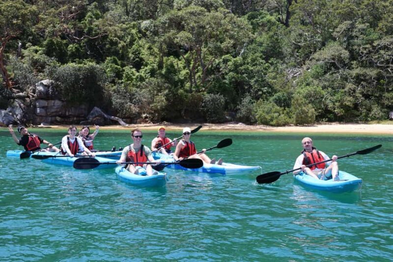Sydney: Guided Kayak Taster Tour from Manly - Who Will Enjoy This Tour?