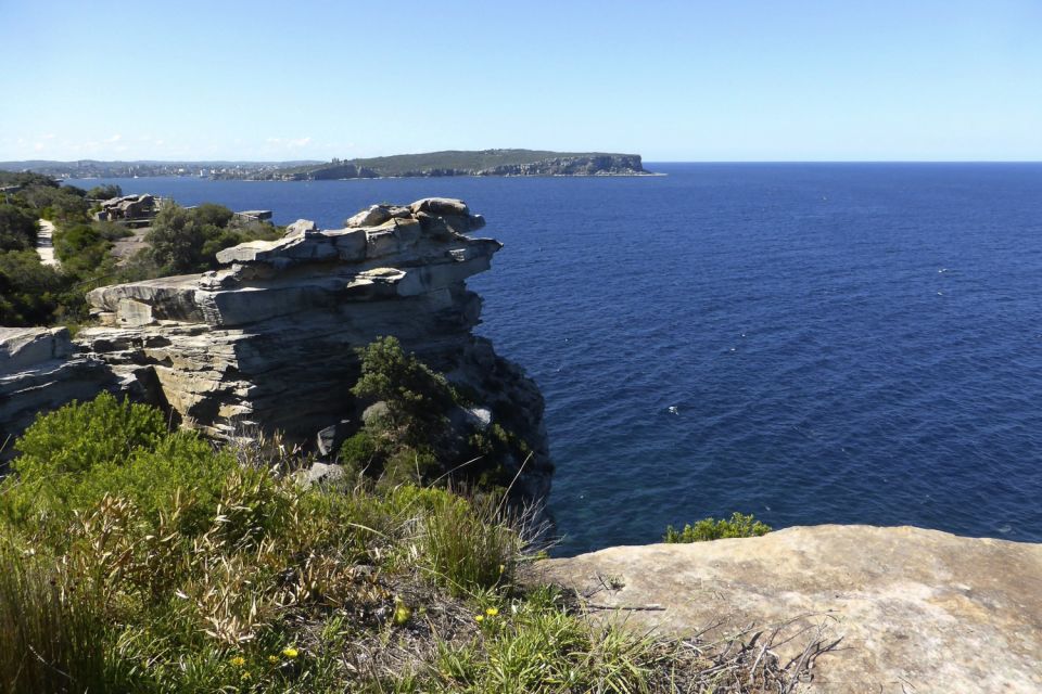 Sydney: Half-Day City Tour - Testimonials
