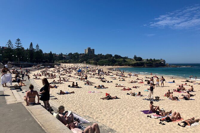 Sydney Half Day Luxury Private Tour - References