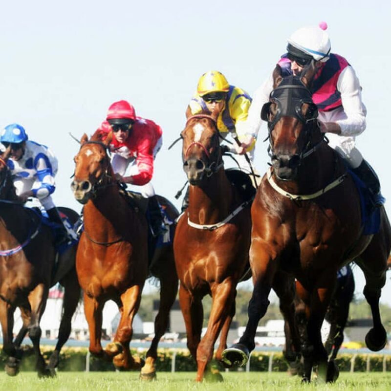 Sydney Harbour Melbourne Cup Cruise - The Value of This Experience  