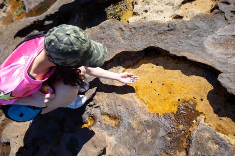 Sydney Harbour National Park 2-Hour Walking Tour - Itinerary Breakdown: What to Expect