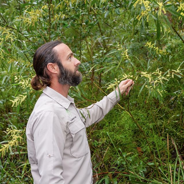 Sydney Harbour National Park 2-Hour Walking Tour - Important Details
