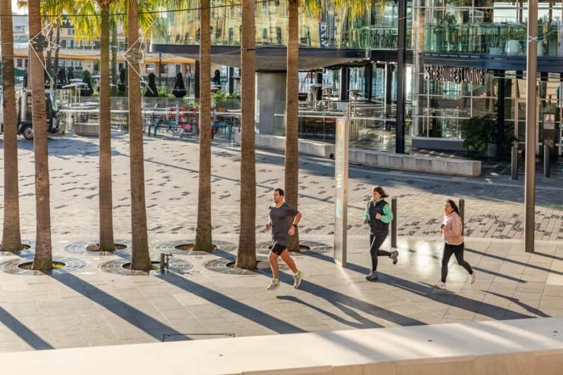 Sydney: Harbour Sights Running Tour - Who Should Consider This Tour?