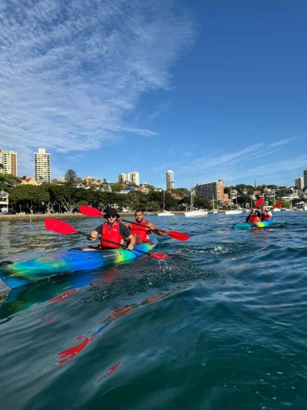 Sydney: Harbour Sunrise Kayak Tour - Key Points