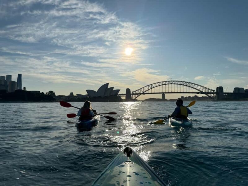 Sydney: Harbour Sunrise Kayak Tour - What Makes It Special