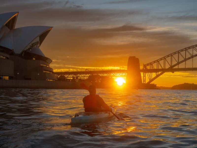 Sydney: Harbour Sunrise Kayak Tour - The Experience for Different Travelers