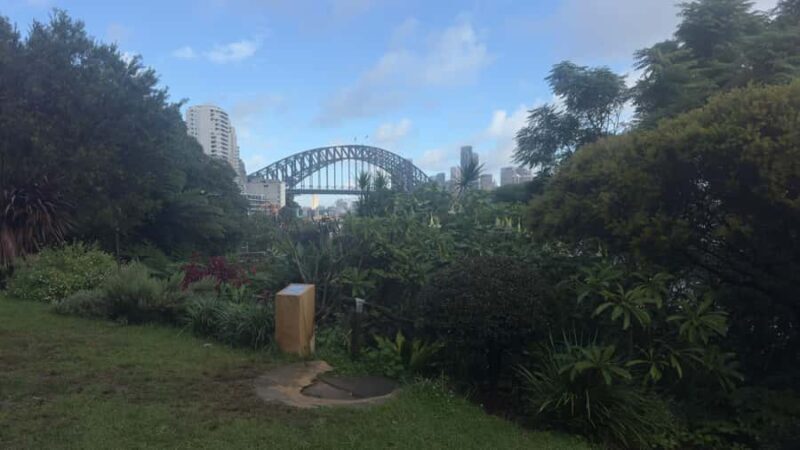 Sydney: Harbour Views & Hidden Histories Walking Tour - Key Points
