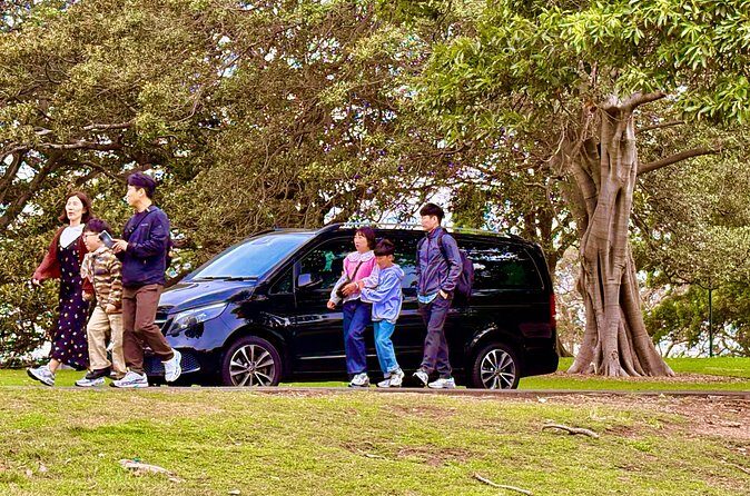 Sydney Harbour Whale Watching Experience - Practical Tips for Travelers