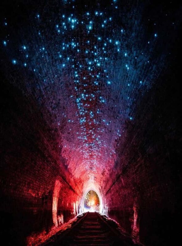 Sydney: Helensburgh Glow Worm Tunnel Tour with Transfer - What’s the Experience Like?