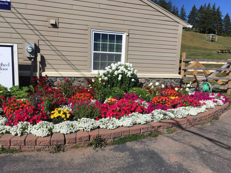 Sydney: Highland Village & Bell Museum Cruise Excursion - What Travelers Say