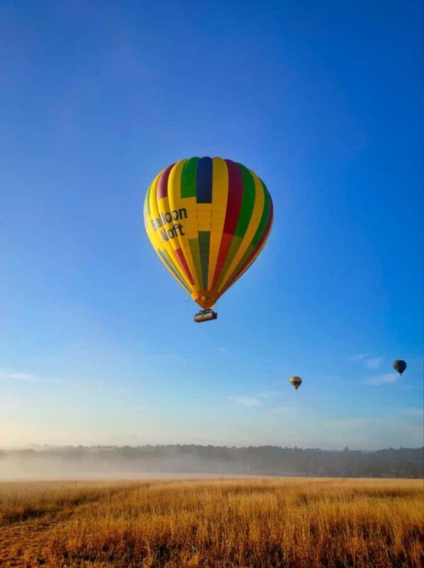 Sydney: Hunter Valley Sunrise Balloon Flight with Transfer - An In-Depth Look at the Hunter Valley Balloon Experience