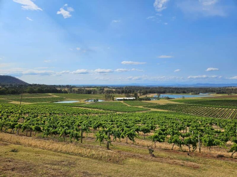Sydney Hunter Valley Tour (Private) - Key Points
