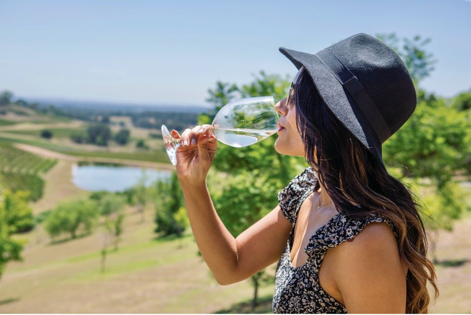 Sydney: Hunter Valley Wineries Day Trip With Food Tastings - Key Points