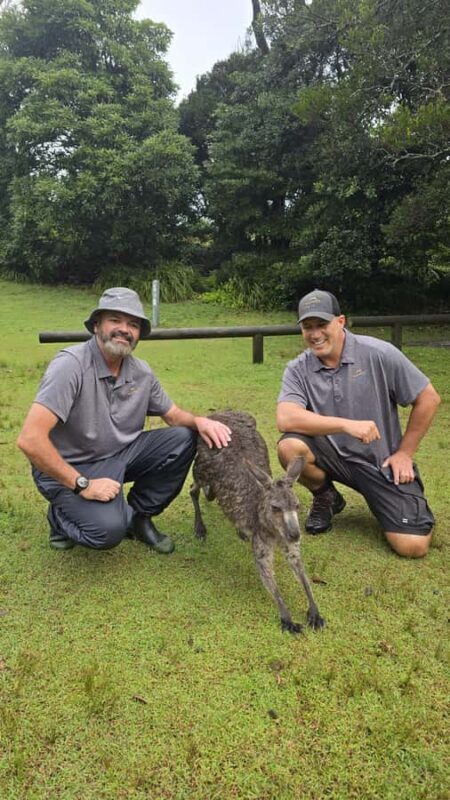 Sydney: Jervis Bay Day Trip with Dolphins, Roos & Beach Time - An In-Depth Look at the Jervis Bay Day Tour