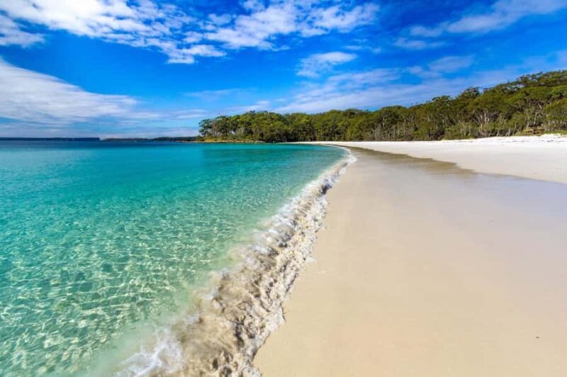 Sydney: Jervis Bay Day Trip with Dolphins, Roos & Beach Time - FAQs