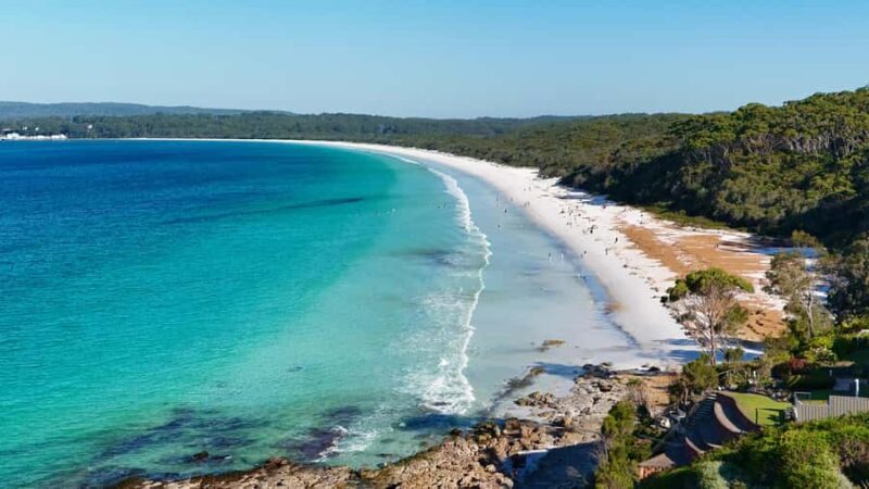 Sydney: Jervis Bay & South Coast Small Group Wild Kangaroos - Key Points