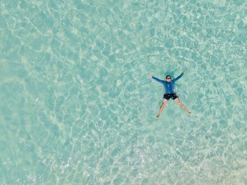 Sydney: Jervis Bay & South Coast Small Group Wild Kangaroos - Lunch with a View at Gerringong