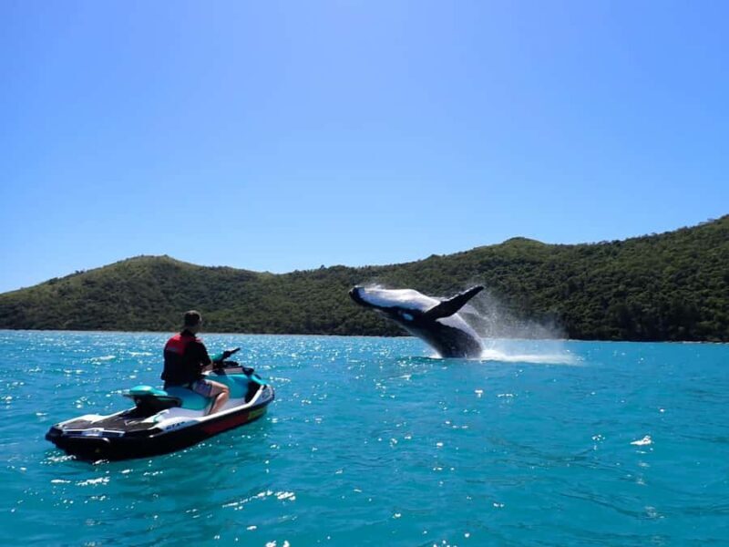 Sydney: Jet Ski Rental with Snorkeling Gear - Key Points