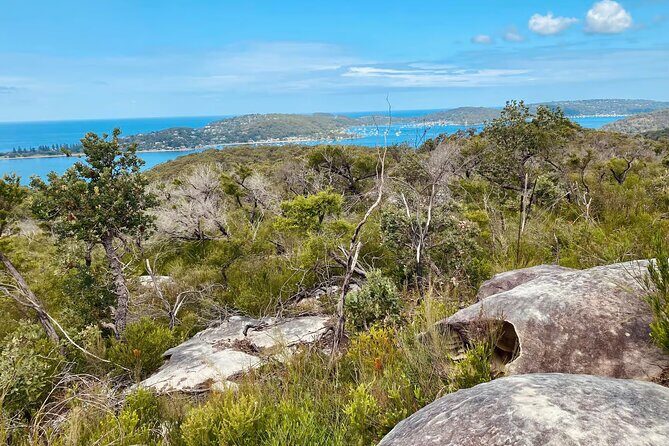 Sydney: Ku-ring-gai Chase National Park with Hike, Swim, Picnic - The Itinerary: A Deep Dive into the Day