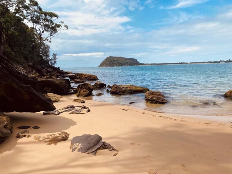 Sydney: Ku-ring-gai National Park with swim and picnic - Key Points