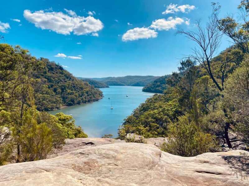 Sydney: Ku-ring-gai National Park with swim and picnic - How Good Is the Value?