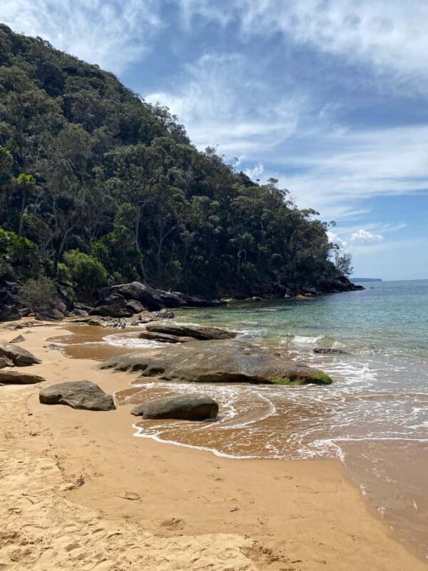 Sydney: Ku-ring-gai National Park with swim and picnic - Frequently Asked Questions
