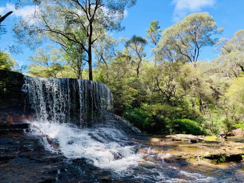 Sydney: Luxury Blue Mountains Adventure with Wentworth Falls - Final Thoughts: Is This Tour For You?