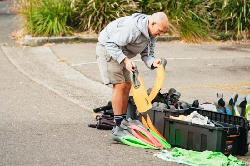 Sydney: Manly and Shelly Beach Snorkeling Tour - Key Points