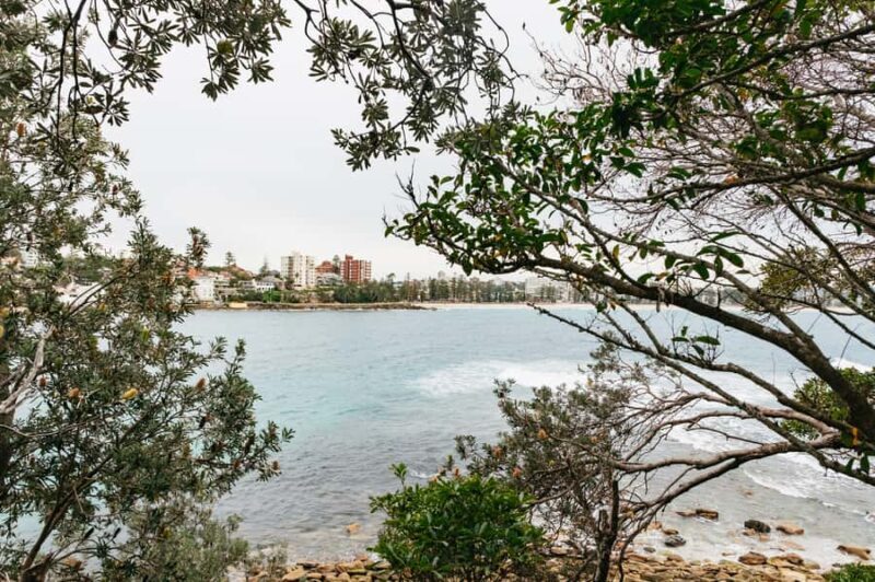 Sydney: Manly and Shelly Beach Snorkeling Tour - Practical Tips for Participants