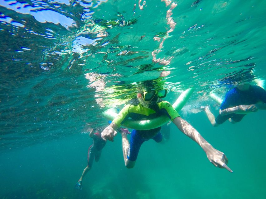 Sydney: Manly and Shelly Beach Snorkeling Tour - Experience Details