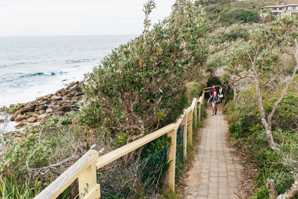 Sydney: Manly and Shelly Beach Snorkeling Tour - Customer Reviews