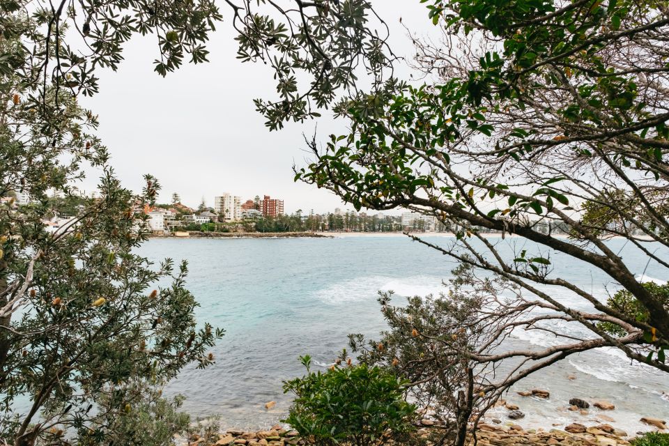 Sydney: Manly and Shelly Beach Snorkeling Tour - Booking and Logistics