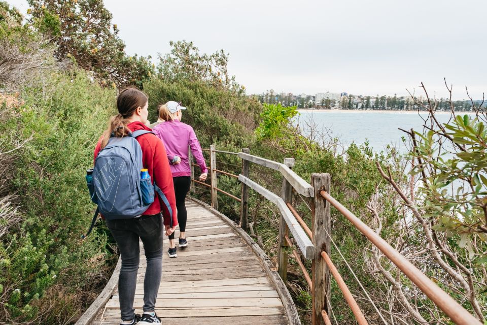 Sydney: Manly and Shelly Beach Snorkeling Tour - Wildlife Spotting