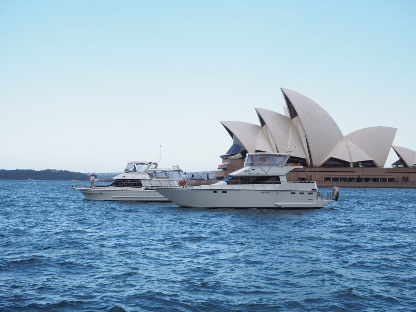 Sydney: Morning Cruise and Afternoon Panoramic City Tour - Tour Pricing and Booking Information