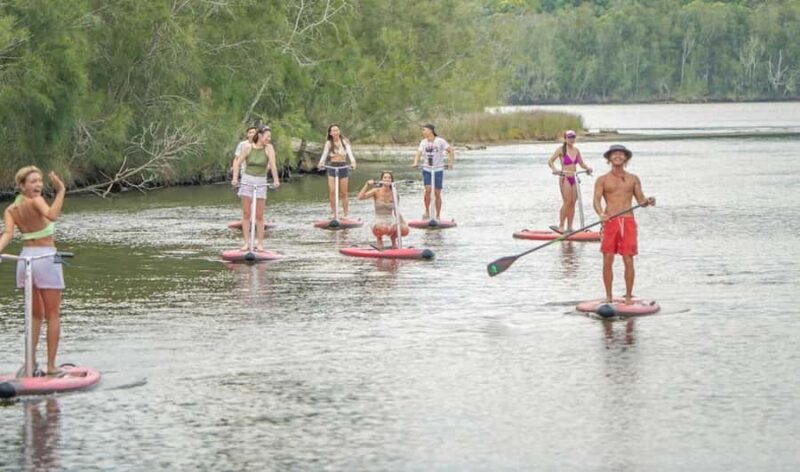Sydney: Narrabeen Lagoon SUP Tour with Instructor - Scenic Setting and Location